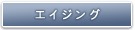�G�C�W���O