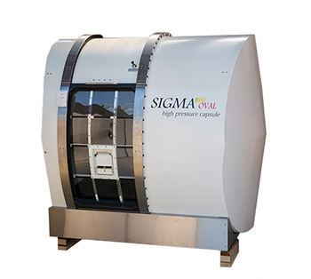 SIGMA　BIG OVAL